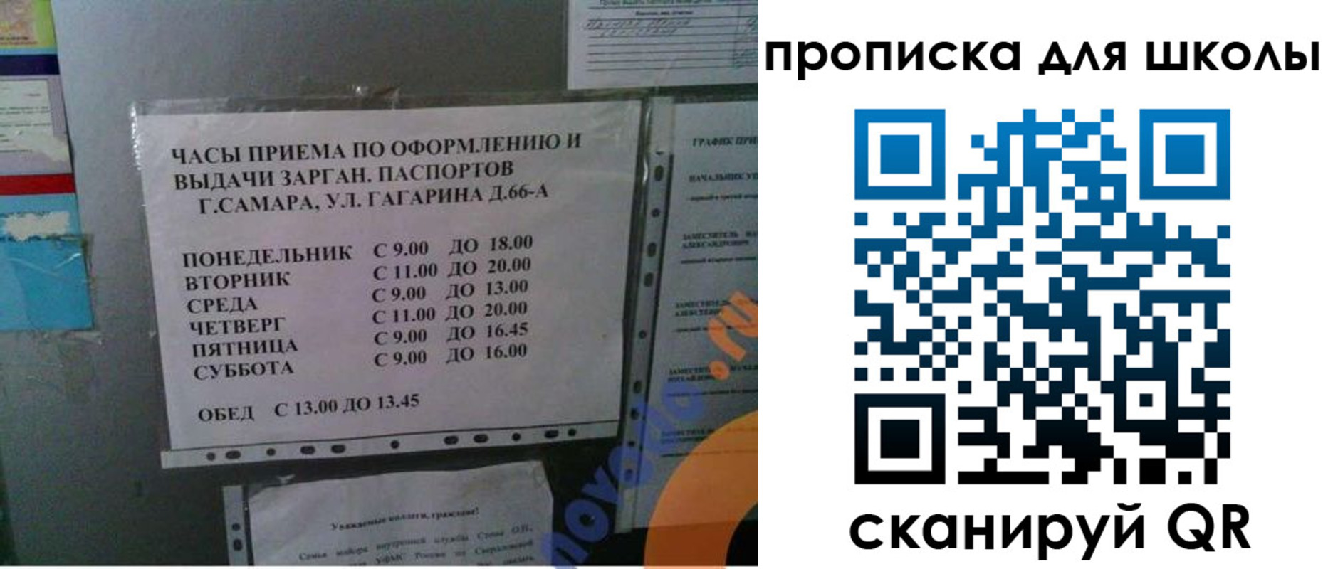 где прописаться в Заринске